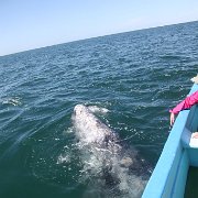 IMG 0001 2 (329)